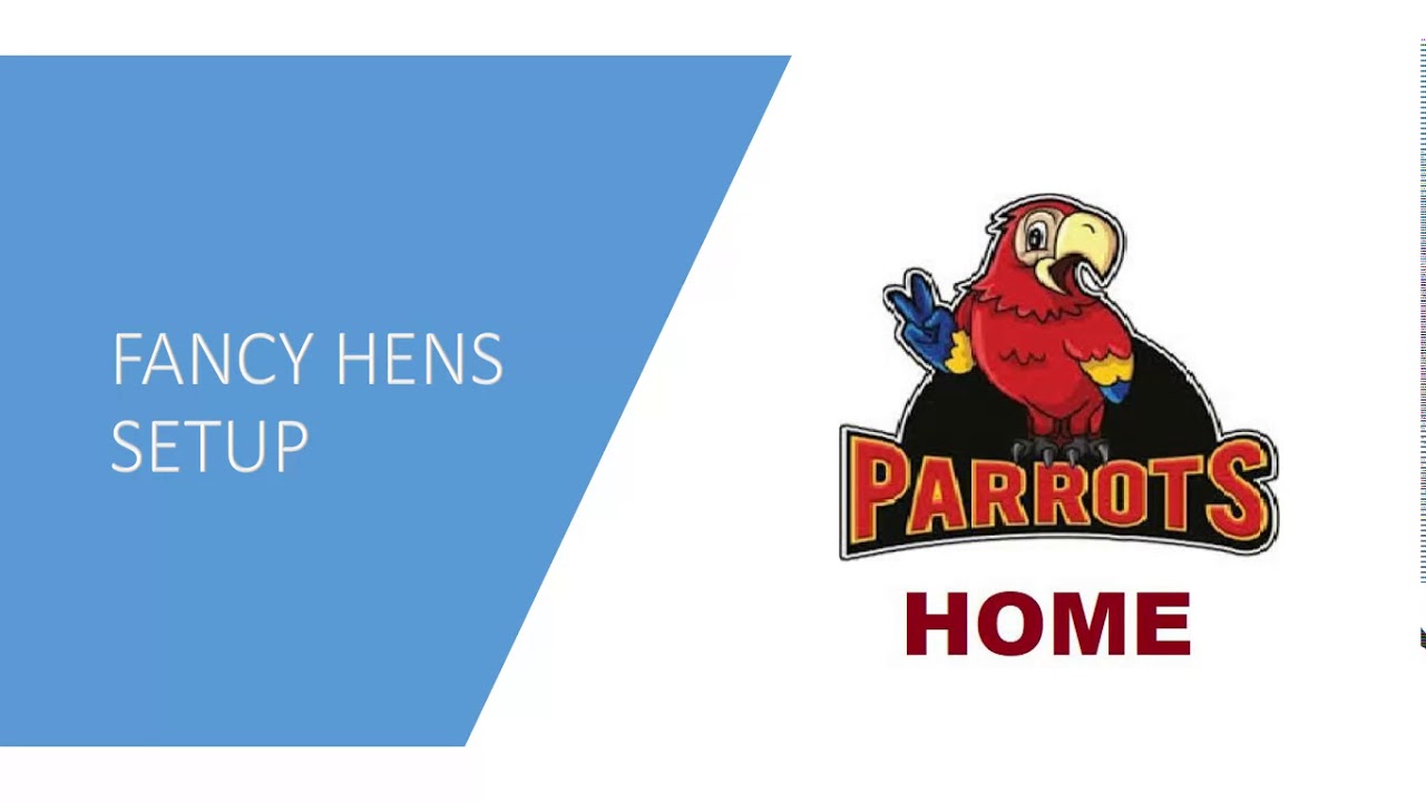 Fancy Chicken/Hens Farming YouTube