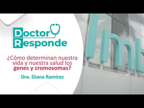 ¿Cómo determinan nuestra vida y nuestra salud los genes y cromosomas? | Dr Responde