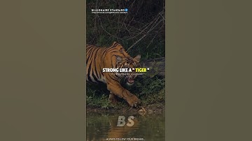 Thumbnail of SIGMA RULES 😎|Fearless like a LION!💪 | #shorts motivation #shortsfeed inspirational quotes #viral