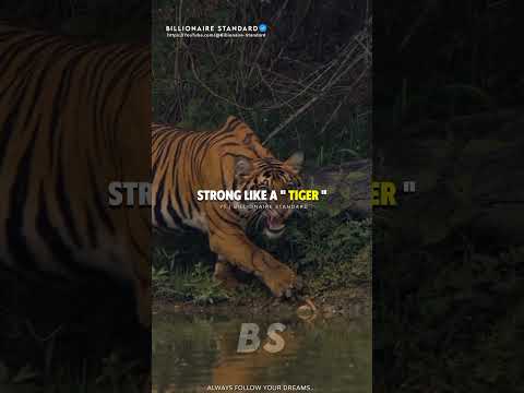Sigma Rules |Fearless Like A Lion! | Shorts Motivation Shortsfeed Inspirational Quotes Viral