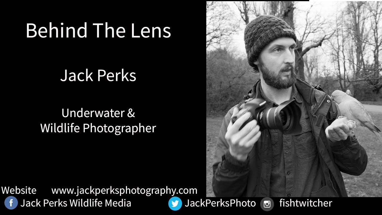 facts management Behind The Lens: Interview With Jack Perks Underwater Photographer