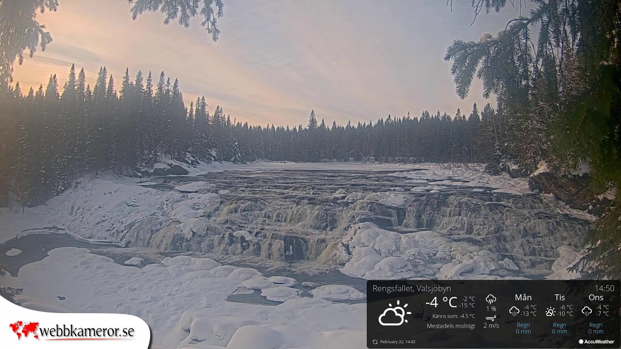 Rengsfallet, Valsjöbyn – Live