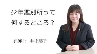 少年鑑別所って何するところ？　福岡の弁護士　井上瑛子（福岡弁護士会所属）