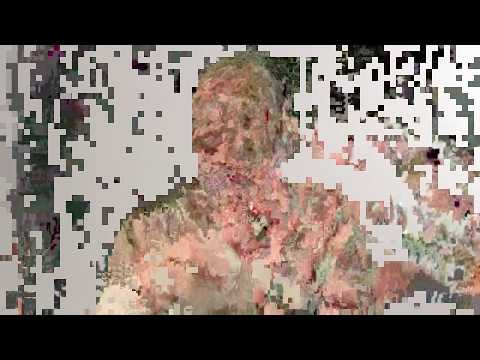 Tomato Python Script - Glitch Experiment 053020