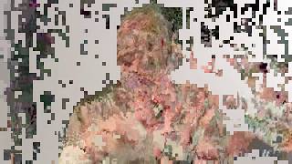 Tomato Python Script - Glitch Experiment 053020