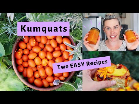 Easy KUMQUAT Jam Recipe // Plus Kumquat and Custard Scroll Recipe