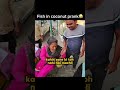 Fish in coconut prank😂