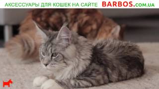 Игровые комплексы для кошек Игровые комплексы для кошек