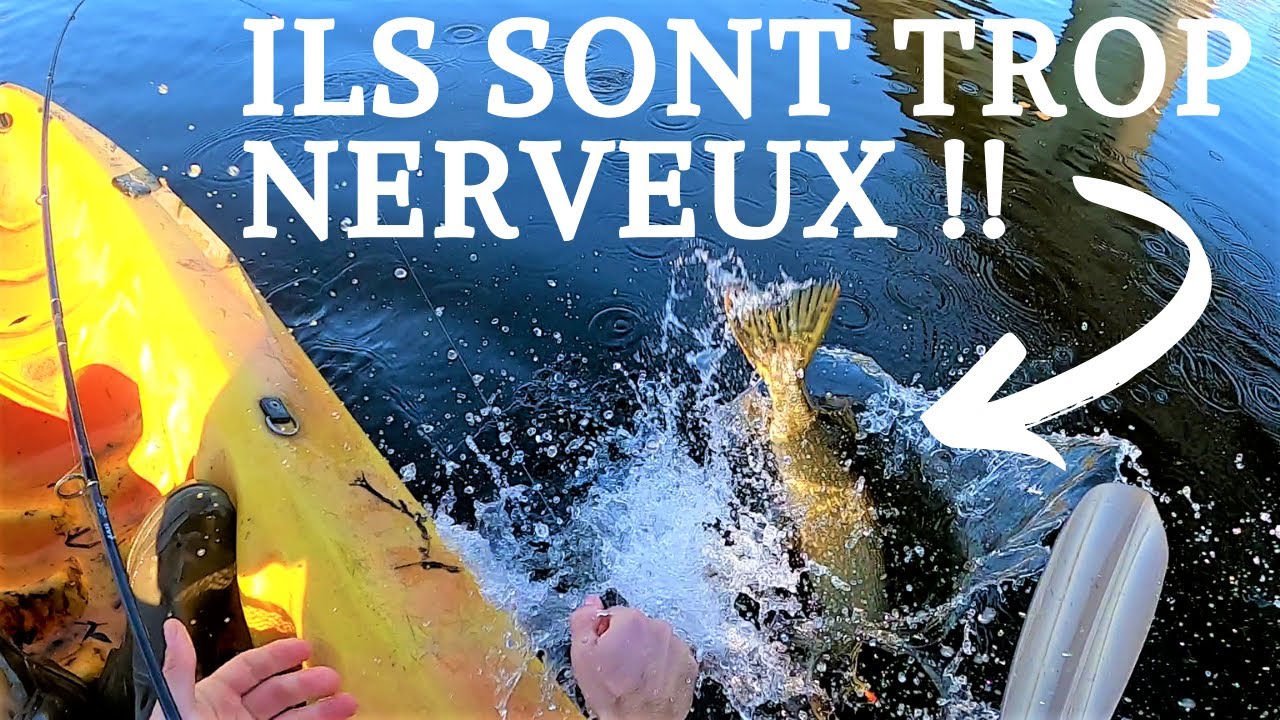 COMMENT PÊCHER ET CHOISIR ENTRE CHATTERBAIT ET SWIMJIG : LE TRUC SÛR DE JC  DAVID !!! 