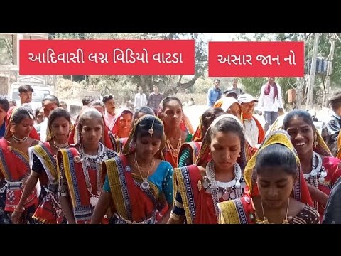 આદિવાસી લગ્ન વિડિયો 2024 Aadivasi lagan video 2024 vatda jan 2024