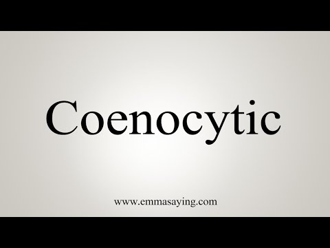 Video: Atšķirība Starp Coenocytic Un Heterotrichous