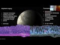 SDDRC - Introduction to microscopy