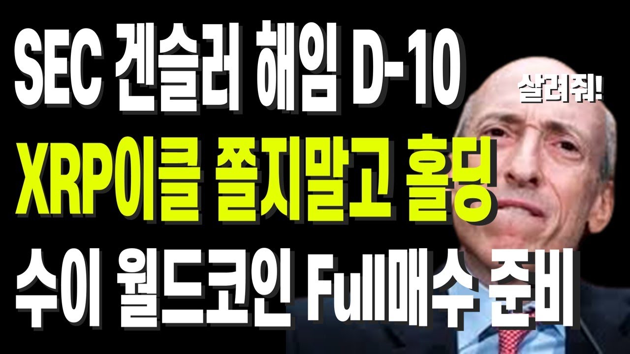 SEC 겐슬러 해임 D-10 XRP이클 쫄지말고 홀딩 수이 월드코인 Full매수 준비 - YouTube