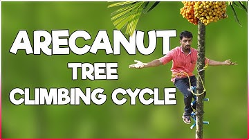 Arecanut Tree Climbing Cycle | Farmer invented this Amazing Machine