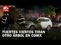 Bomberos Retiran Árbol Caído Sobre Vehículo en Bosque de las Lomas, Miguel Hidalgo, CDMX