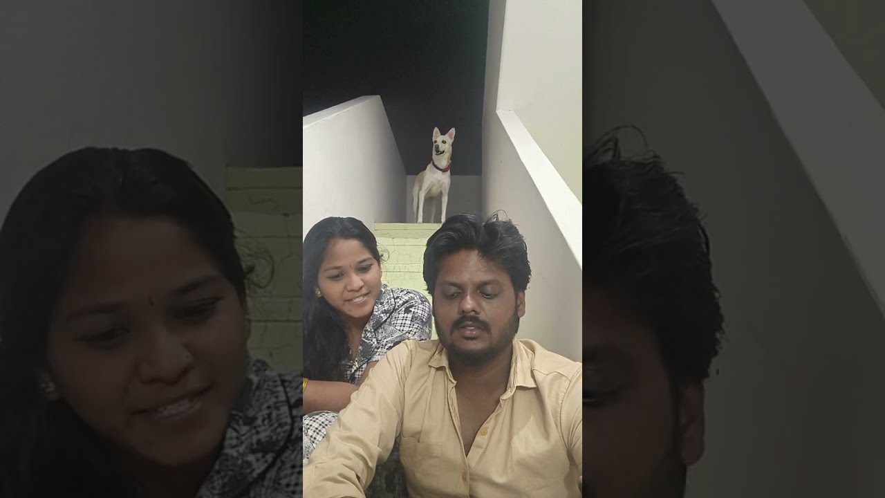 dinesh & kowsi 😍🫂 is live!