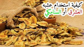 كيفية استخدام عشبه العشرق للتنحيف اوالسنامكي للتخسيس