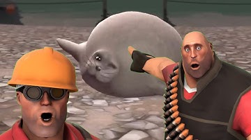 New Team Fortress Update in a Nutshell