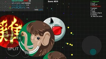 CLİPS FOR VALDEX BLOB