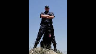 Blood Code- le castle vania #собака #germanshepherd #топ #рекомендации #джонуик
