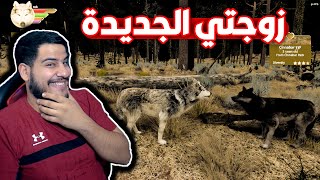 رحلة البحث عن شريك حياه الذئب #2 Wolf Quest