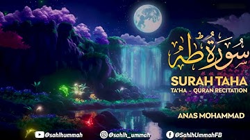 Surah Taha (سورة طه كاملة) - أنس محمد | Anas Mohammad (4K)