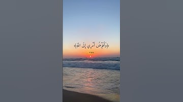 وأفوض أمرى الى الله🍀 الشيخ مشارى راشد العفاسى🍀 #تلاوة  #اكسبلور  #القرآن_الكريم #مشاري_العفاسي