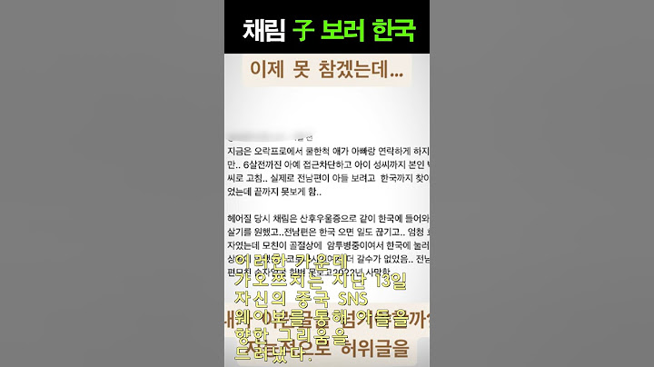 채림 전 남편 가오쯔치도 분노했다...결국 가족 악성 루머 손절 "子 보러 한국 가고파"