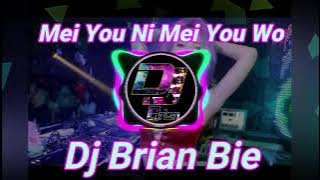 Mei You Ni Mei You Wo 沒有你沒有我 Remix By Dj Brian Bie