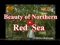 Eritrean Northern Red Sea Docu About Tourism - Agriculture - Blue Gold - History and Companies