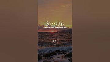 ماهر المعيقلي - سورة النور - تلاوة خاشعة - الله نور سموات والارض