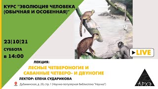 Елена Сударикова: "Лесные четвероногие, саванные четверо- и двуногие" (из курса "Эволюция человека")