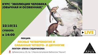 видео: Елена Сударикова:  картинка: Елена Сударикова: