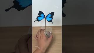 Finally, this version of the mechanical butterfly has been reproduced! ✔️