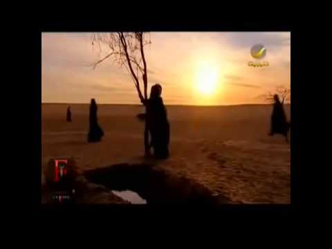 الشاعره الرزينه بنت بدو القاء شجون