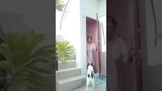 Every Dog deserves a loving home! #dog #dogs #home #love #puppy #sweeto #india #uttarpradesh #cute
