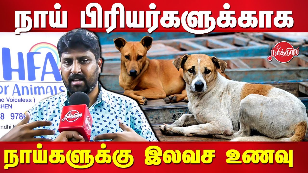 நாய்களுக்கு இலவச உணவு வழங்கும் Heaven For Animals (HFA) Free food for Street Dogs Dog Rescue