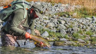 Catching BIG Brown Trout in TOUGH Conditions / 4K by Trippin On Trout 6,680 views 11 months ago 13 minutes, 48 seconds