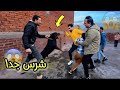 كنت بشتري كلب رود ويلر بس شرس شراسه غير طبيعيه 