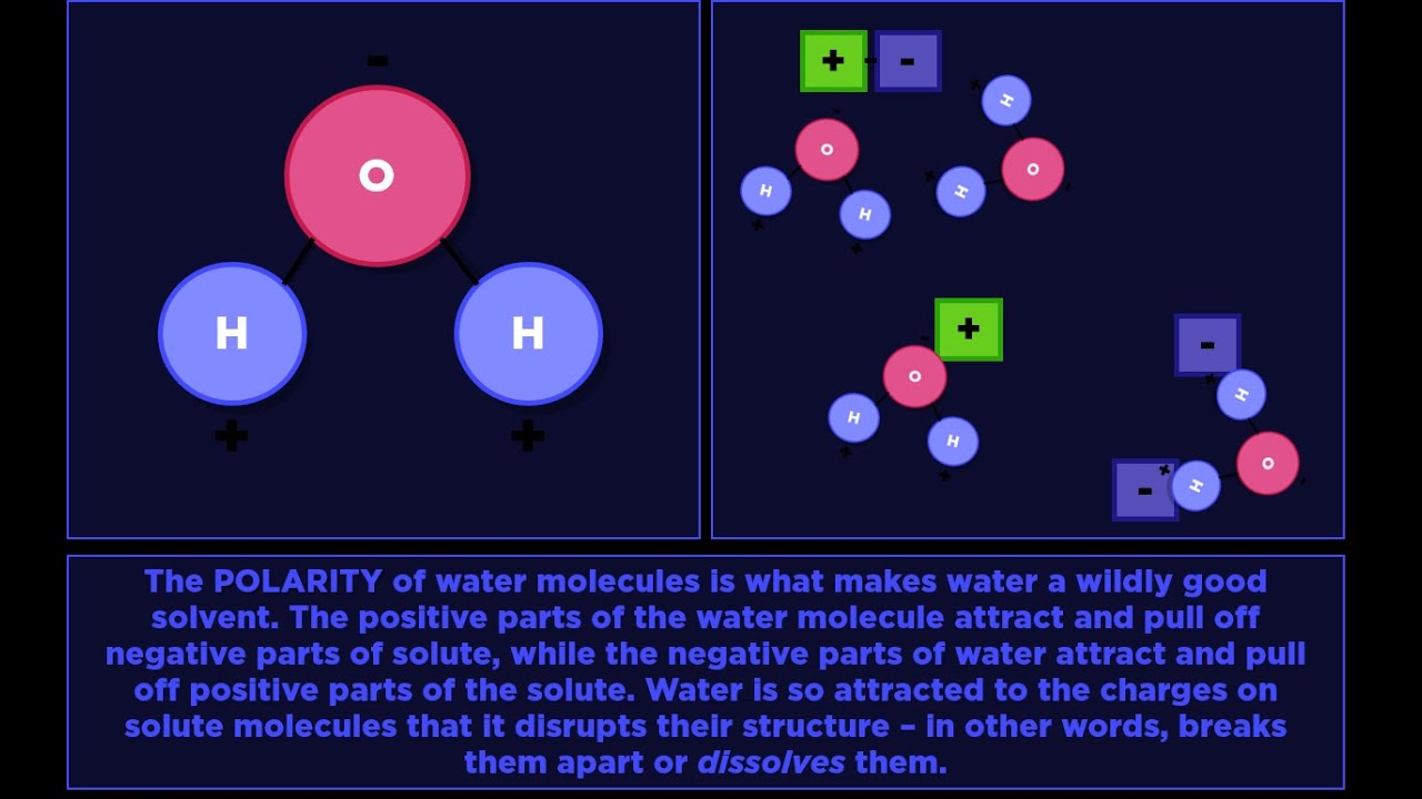 Water as a Universal Solvent - YouTube