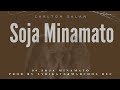 04carlton salan  soja minamatoofficial audio soja minamato album2024mp3