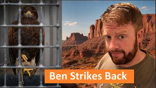 Falconry: Ben Strikes Back