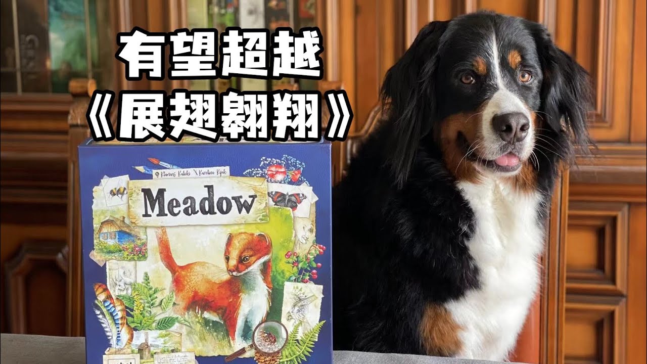 夏天桌游 Meadow 七分钟学会 草甸之旅 How To Play In 7 Mins Youtube