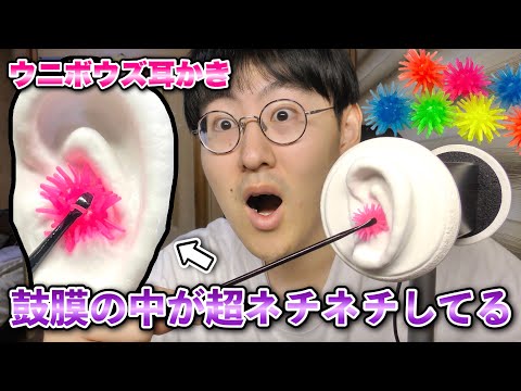 【ASMR】TikTokで話題の「ウニボウズ」をメルカリマイクの鼓膜に詰めて耳かきしてみる