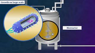 Recombinant DNA Technology  Animated Video