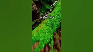 #سورة الحشر بصوت طارق محمد ❤️#القرآن الكريم #سورة الحشر