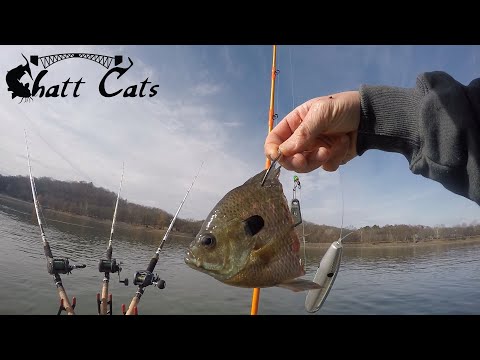 Using BIG Bluegill Heads To Catch BIG Catfish (Ft. @TwistedTackle)