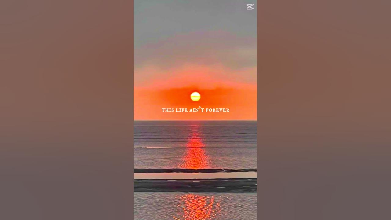 Lyrics for you guys#song#lyrics#sunsets#beach#