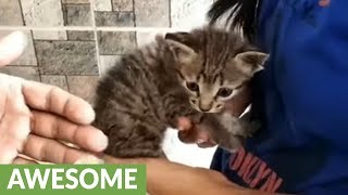 Tiny kitten rescued from drainage pipe