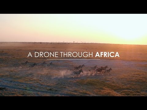 Breathtaking Drone Footage Filmed Throughout Africa | Rhino Africa